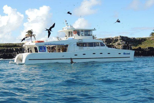 Mergulho em Abrolhos, Bahia